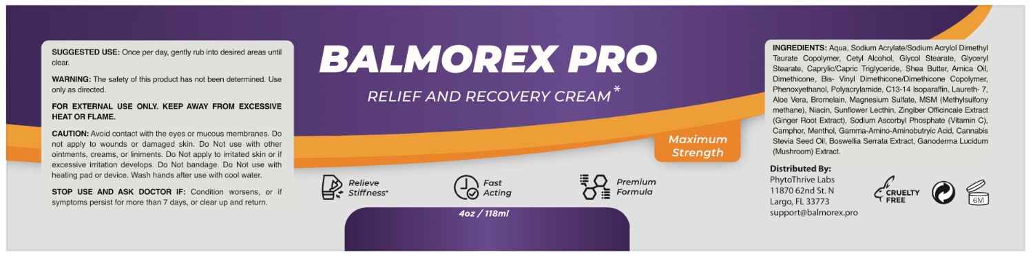 Balmorex Pro official ingredients label — MSM Arnica Oil Bromelain Magnesium Sulfate Aloe Vera Boswellia Serrata Ganoderma Lucidum Menthol Camphor GABA Vitamin C Ginger Relief and Recovery Cream
