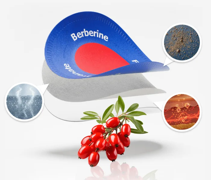 Purisaki Berberine Patch layers diagram — 3-layer transdermal delivery system