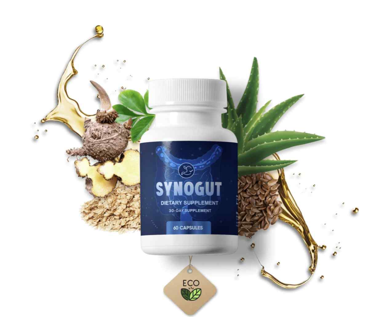 SynoGut dietary supplement 60 capsules 30-day supply — psyllium bentonite clay black walnut oat bran flaxseed prune aloe vera L. Acidophilus apple pectin glucomannan gut health blend